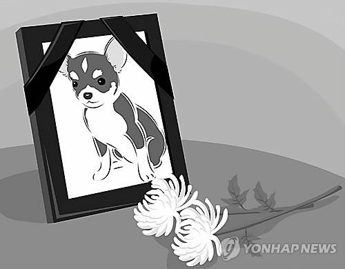 편집 김민준 아이클릭아트 그래픽 사용