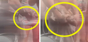 원숭이에 담배·술 먹여 '동물 학대' 논란…