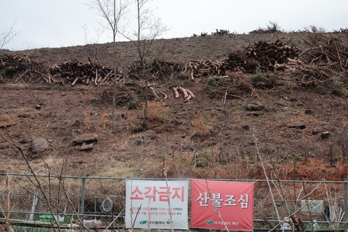 "곧 여름인데…산사태 날까 걱정" 대구 함지산 산불 1년