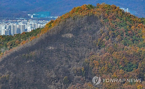 [연합뉴스 자료사진]