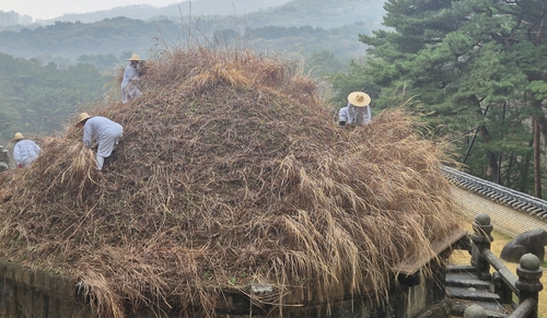 [세상풍경] 조선 태조의 건원릉과 억새