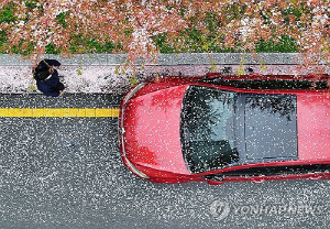 [내일날씨] 낮 최고 18∼24도…전남 남해안·제주 밤부터 비