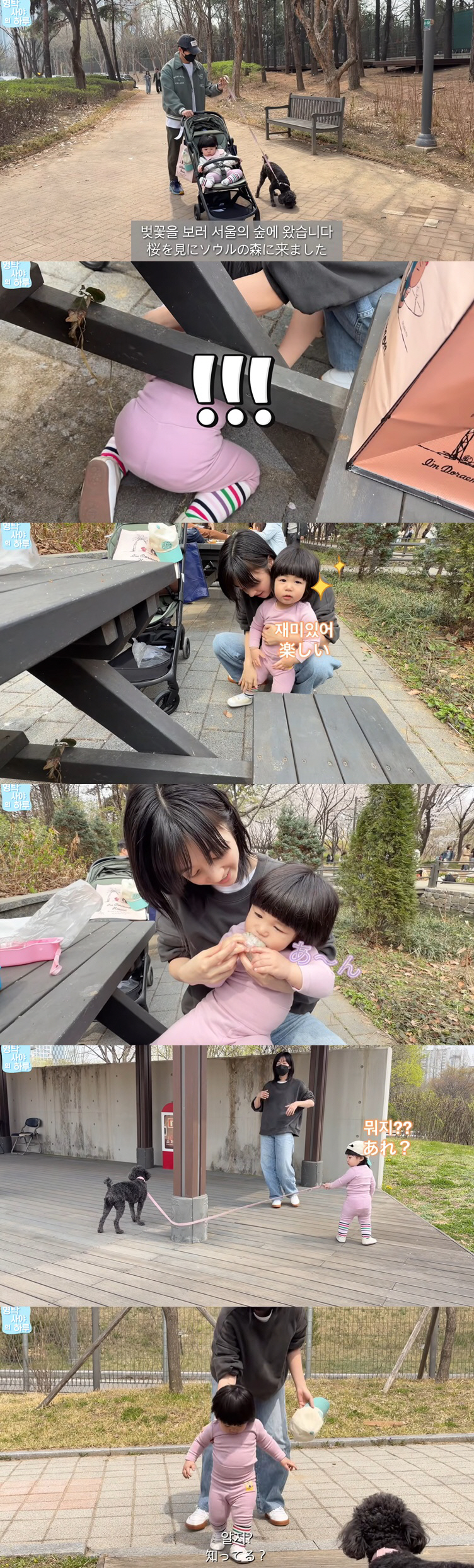 심형탁♥사야, 子 하루 돌발행동에 '당황'.."눈을 뗄 수가 없다"