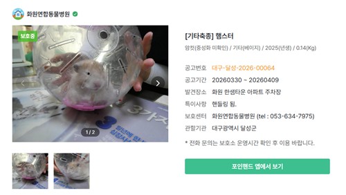 [포인핸드 제공]