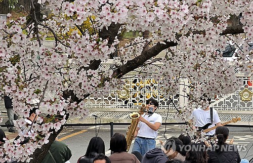 (서울=연합뉴스) 배재만 기자 = 봄비가 내린 지난 6일 서울 여의도 국회 앞 벚꽃축제장에서 색소폰 공연이 펼쳐지고 있다. 2026.4.12 scoop@yna.co.kr