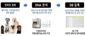 칩 없이 개 식별…유전자 등록 첫 실증특례