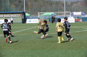 '2026 행복 양구컵 전국 유소년 축구클럽 페스티벌', 둘째 날 열기 절정