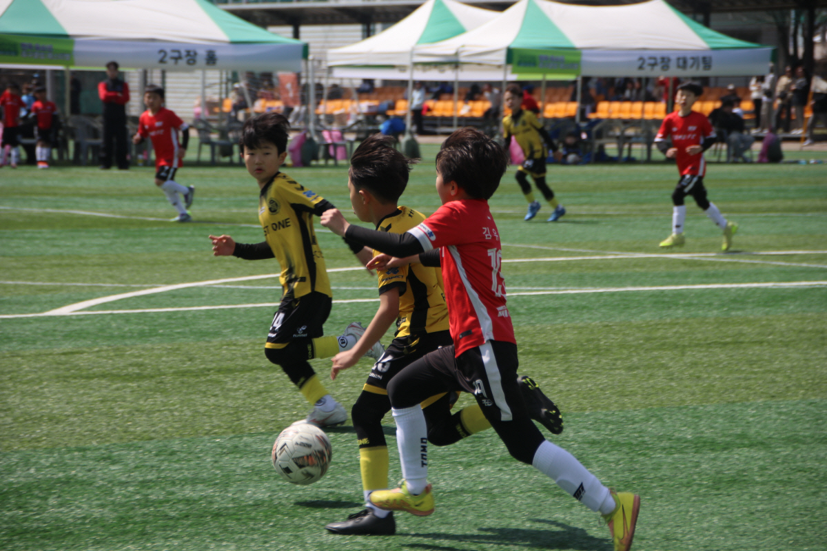 사진제공=SH스포츠에이전시