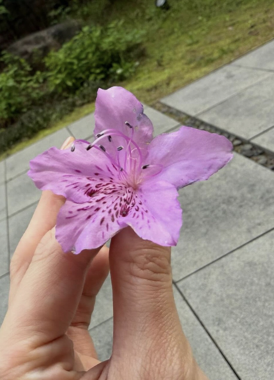 '이병헌♥' 이민정, '2살 딸'이 건넨 선물에 뭉클 "너는 나의 봄이다"