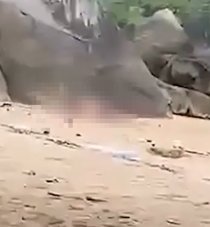 대낮 유명 해변서 관계한 관광객 '공분'…"동물 같았다" 증언도