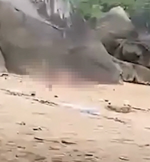 대낮 유명 해변서 관계한 관광객 '공분'…