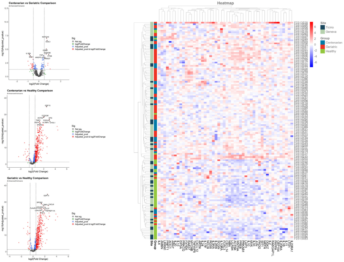 100세 이상 고령자, 노인 그리고 건강한 대조군 간에 차별적으로 발현된 단백질(DEPs)을 분석했다. 자료출처=Aging Cell