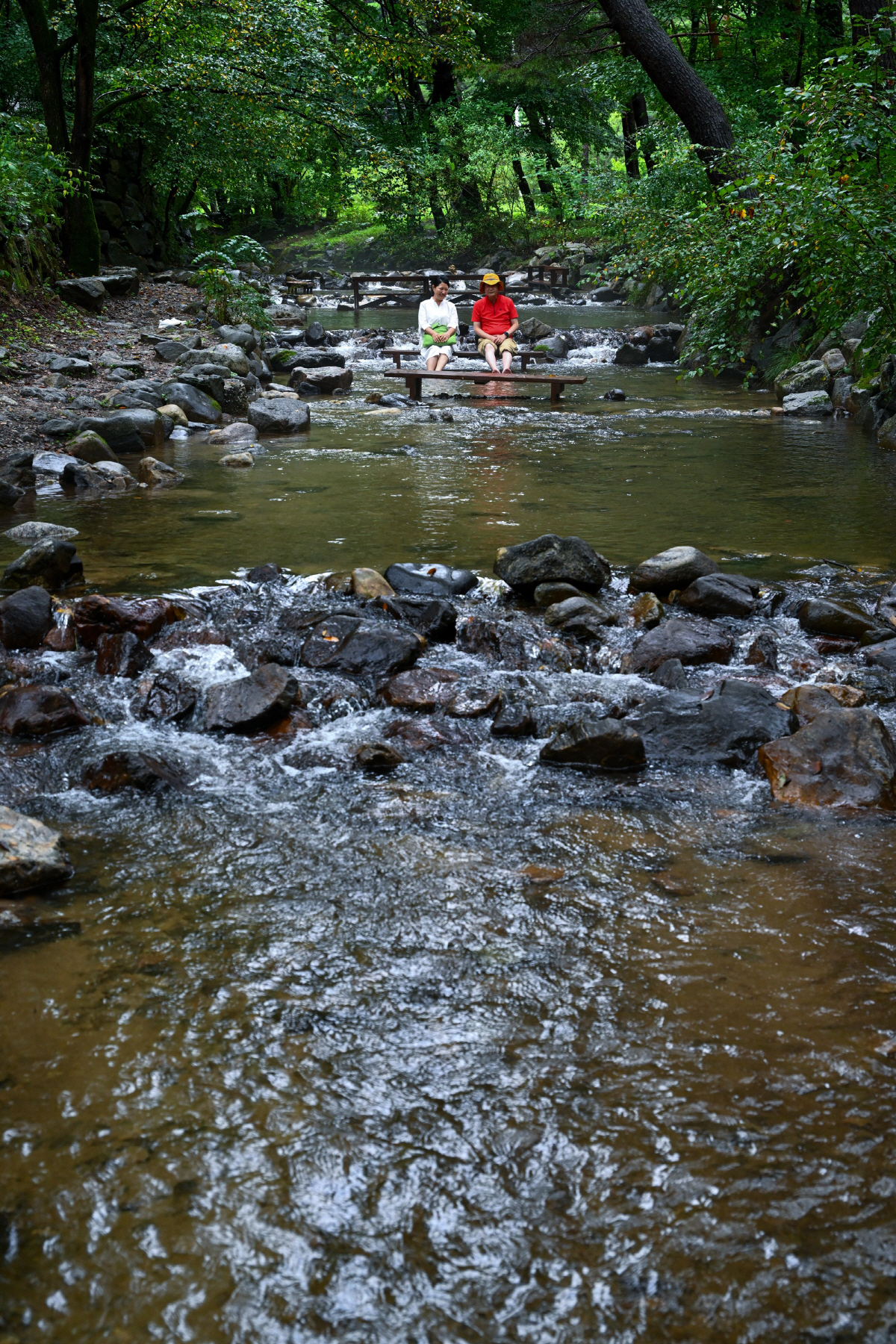 ◇평창 허브나라공원 내는 개울이 흐르고 있고, 개울에 있는 의자에 앉아 발을 담그고 물소리를 듣고 있으면 마음이 편안해진다. 사진제공=지엔씨21
