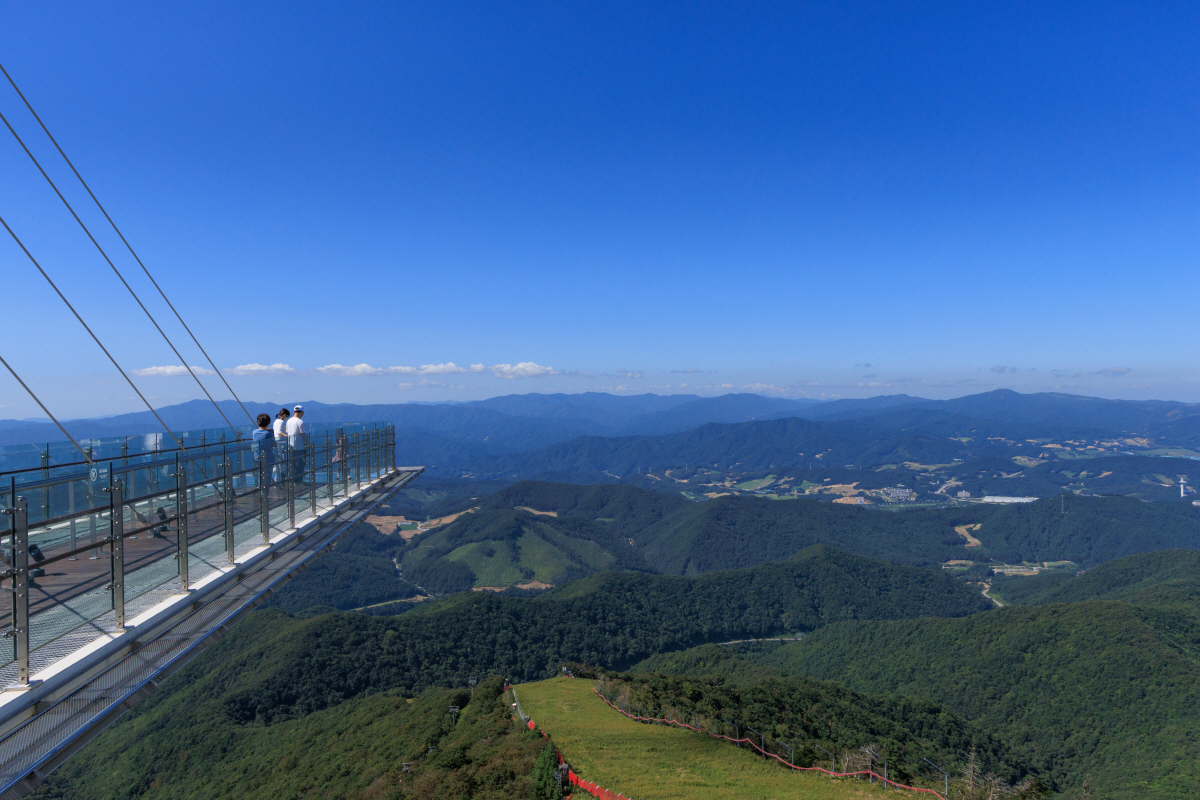 ◇발왕산 케이블카를 타고 발왕산 정상에 오르면, 국내에서 가장 높은 곳에 세워진 스카이워크를 마주할 수 있다. 사진제공=지엔씨21