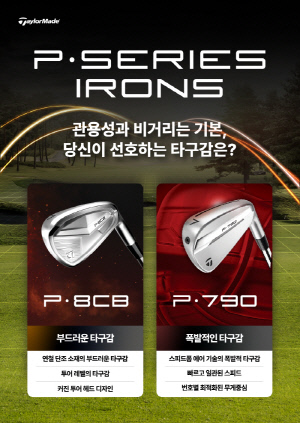 테일러메이드 아이언, 