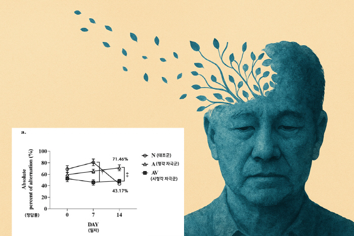 "소리·빛 자극으로 뇌 기능 회복"…치매 치료 가능성 제시