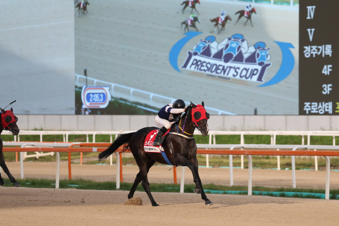 [경마] 한계를 넘는 호흡, 장거리 왕좌를 향한 스테이어 두 번째 관문, 제25회 YTN배(G3) 개최