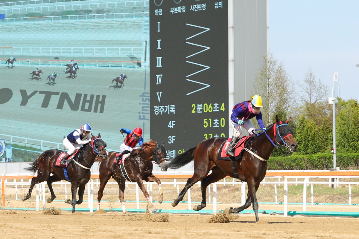 글로벌히트. 사진제공=한국마사회