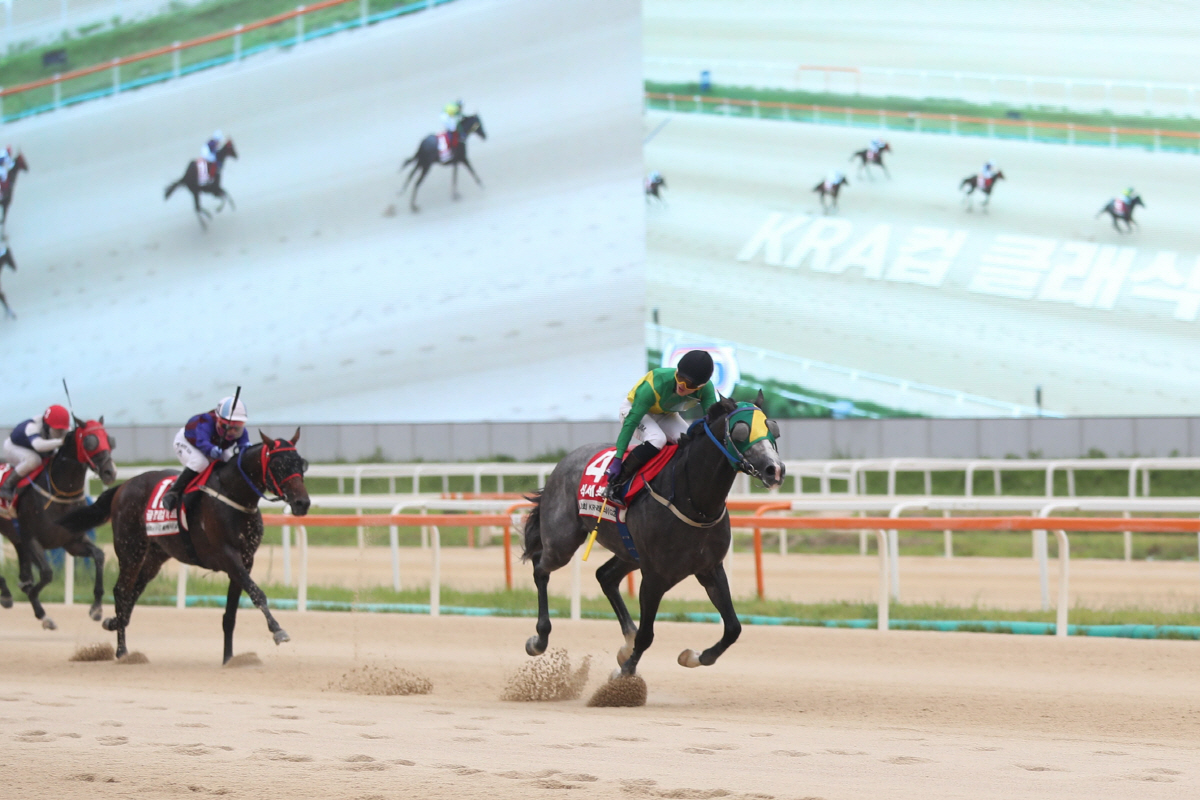 석세스백파. 사진제공=한국마사회