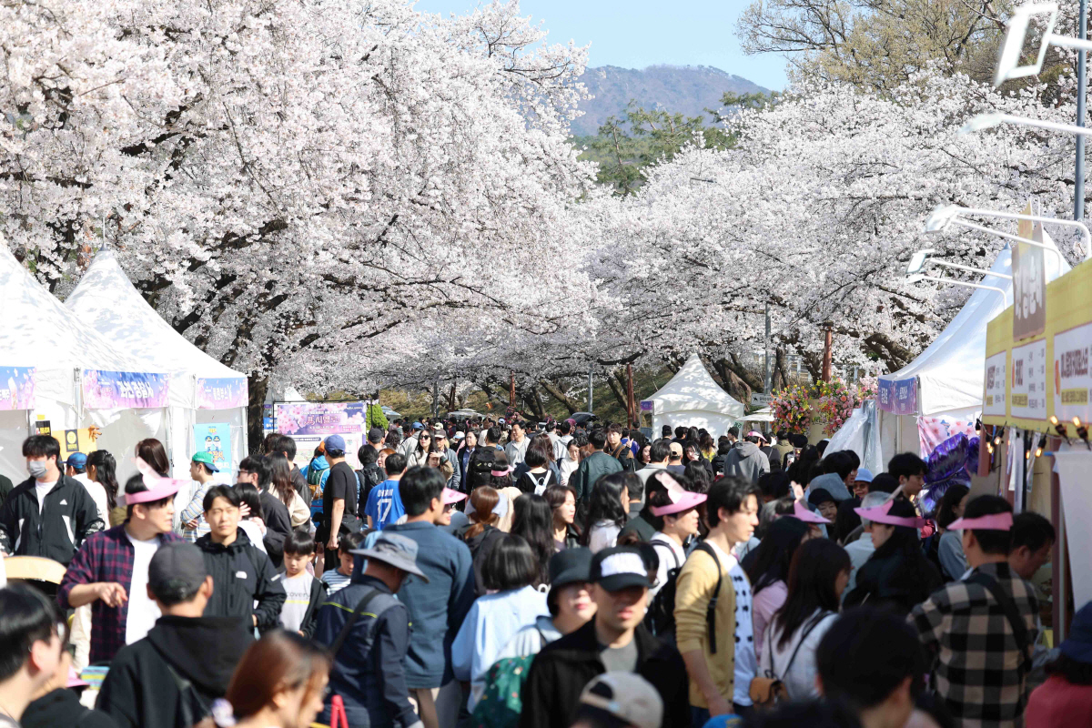렛츠런파크 서울 벚꽃축제 '馬시멜로' 현장. 사진제공=한국마사회