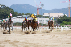 [경마] 국경 넘은 국제 교류의 장… 렛츠런파크 부산경남 'K-경마 경쟁력 확산'