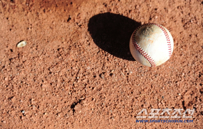 "정말 죄송합니다" 놓친 배트가 심판 머리 직격 '아찔 사고'…외인 타자의 참회