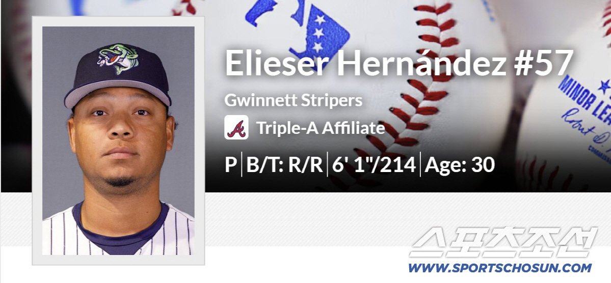 엘리에이저 에르난데스 프로필. milb.com 캡쳐