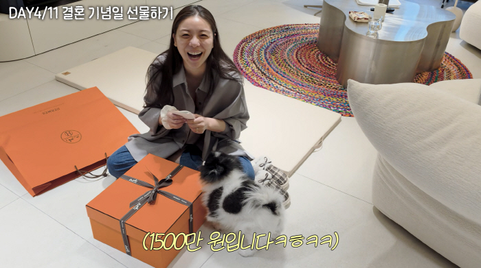 '시험관 실패' 에일리, 최시훈♥ 1500만원 에르메스 선물에 활짝 "우울할 때 보길"