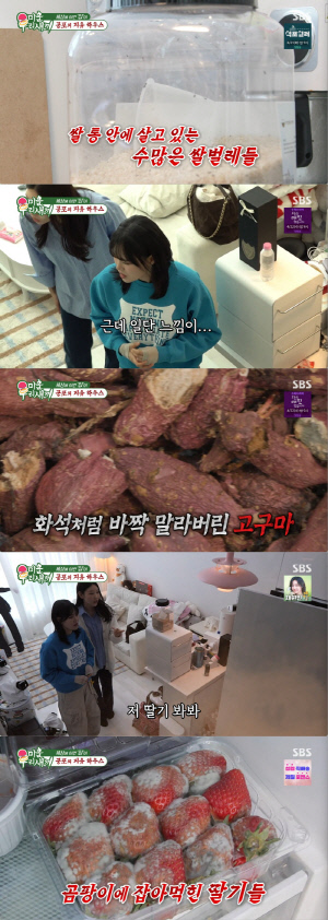 기안84보다 심각한 위생 수준...김지유, 곰팡이·벌레 가득한 '공포 하우스'