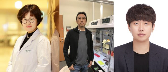 (왼쪽부터) 조미라 교수, 강태욱 교수, 이아람 박사