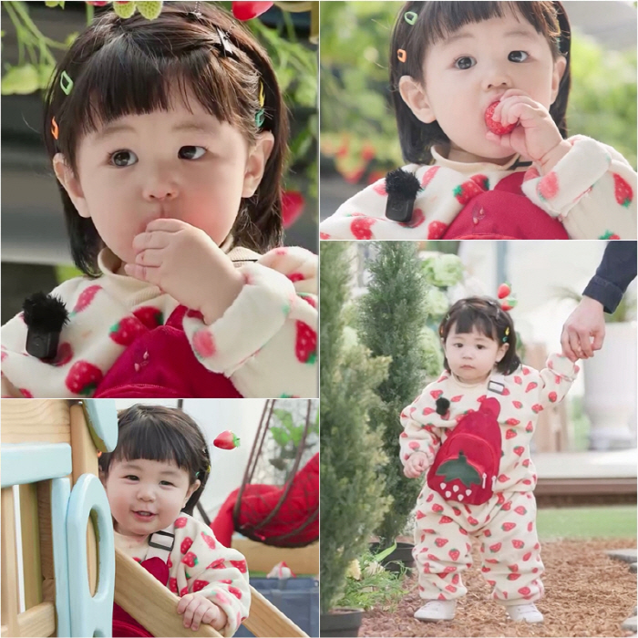 '심형탁子' 하루, 딸기 과즙 터지는 비주얼…엄마랑 똑 닮잖아('슈돌')