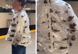 '살아있는 바퀴벌레 재킷' 입고 태연 '경악'…