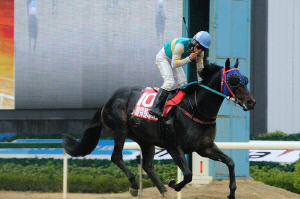 [한국경마 타임캡슐] 2016년 4월 '삼관 대장정의 첫발'