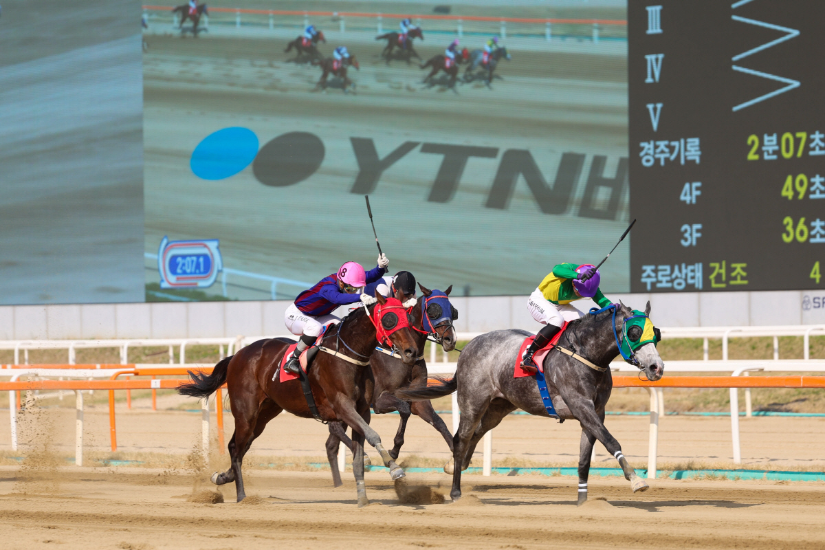 석세스백파와 진겸기수(맨 오른쪽)가 직선주로를 달리고 있다. 사진제공=한국마사회