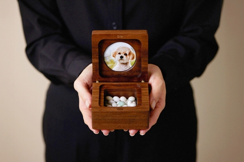 [교원라이프 제공]