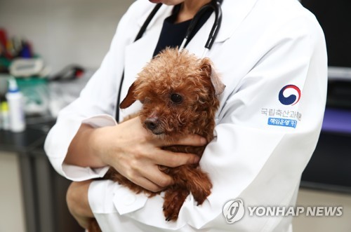 [농촌진흥청 제공]