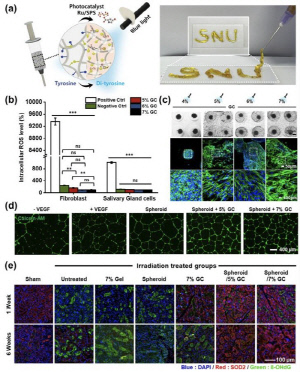 줄기세포 활용, 난치성 '구강건조증' 근본 치료 융합 시스템 개발
