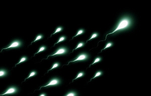 우승 상금 1억 5천만원 '정자 달리기' 대회 열린다…0.5㎜ 거리 레이싱