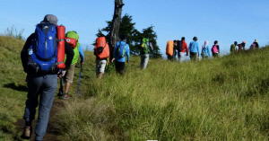 [SC 건강칼럼] 봄철 운동, 허리디스크·무릎관절염 환자라면 '이렇게'