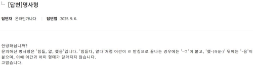 국립국어원 온라인가나다 상세보기 캡처