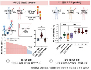 혈액 속 엑소좀 단백질로 대장암 조기 진단 가능…정확도 90% 이상