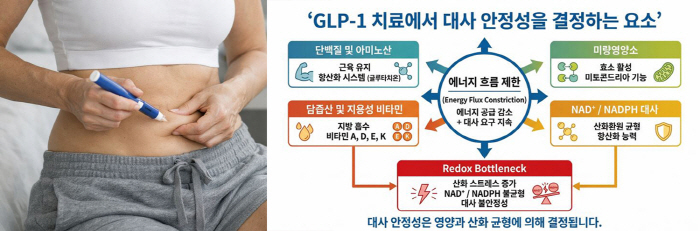 "비만치료제(GLP-1) 장기 투여 시 '전신 대사 불안정' 유발 가능"