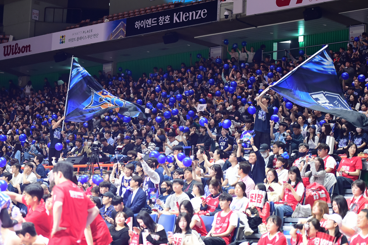 '마! 농구장에도 등장했다' KCC, 올해 PO부터 도입 효과 쏠쏠하네…소노는 '하늘색 신드롬' 타고 챔프전 날아올라