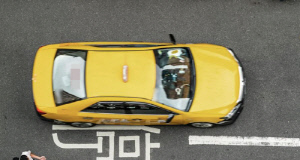 여성 승객 옷 벗고 택시비 대신 성관계 제안 '충격'…"혹시 함정?"