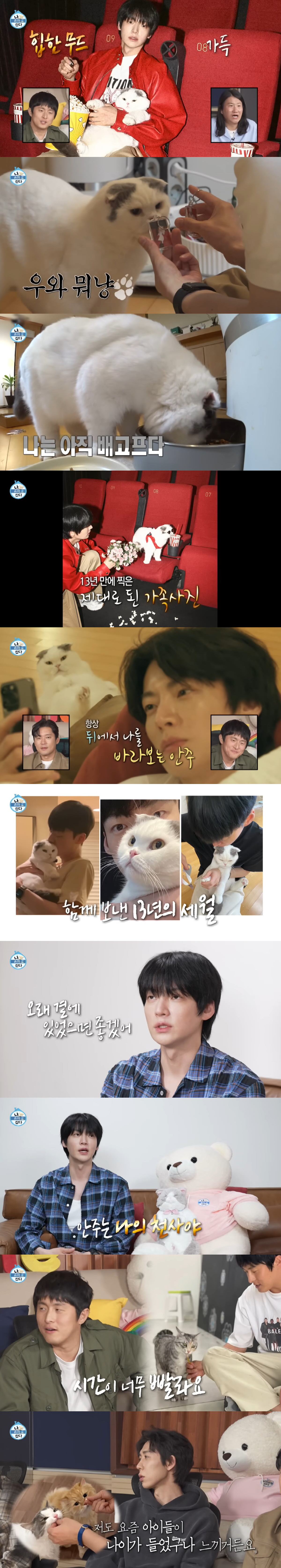 안재현, 13살 노묘와 첫 가족사진에 눈시울…"오래 곁에 있어줘" ('나혼산')