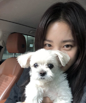최희, 가슴 찢어지는 이별 겪었다..15년 함께한 반려견 떠나보내 “슬픔 아닌 사랑으로 기억”