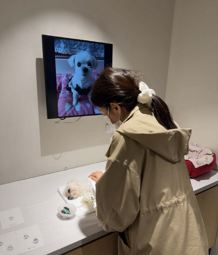 최희, 가슴 찢어지는 이별 겪었다..15년 함께한 반려견 떠나보내 “슬픔 아닌 사랑으로 기억”