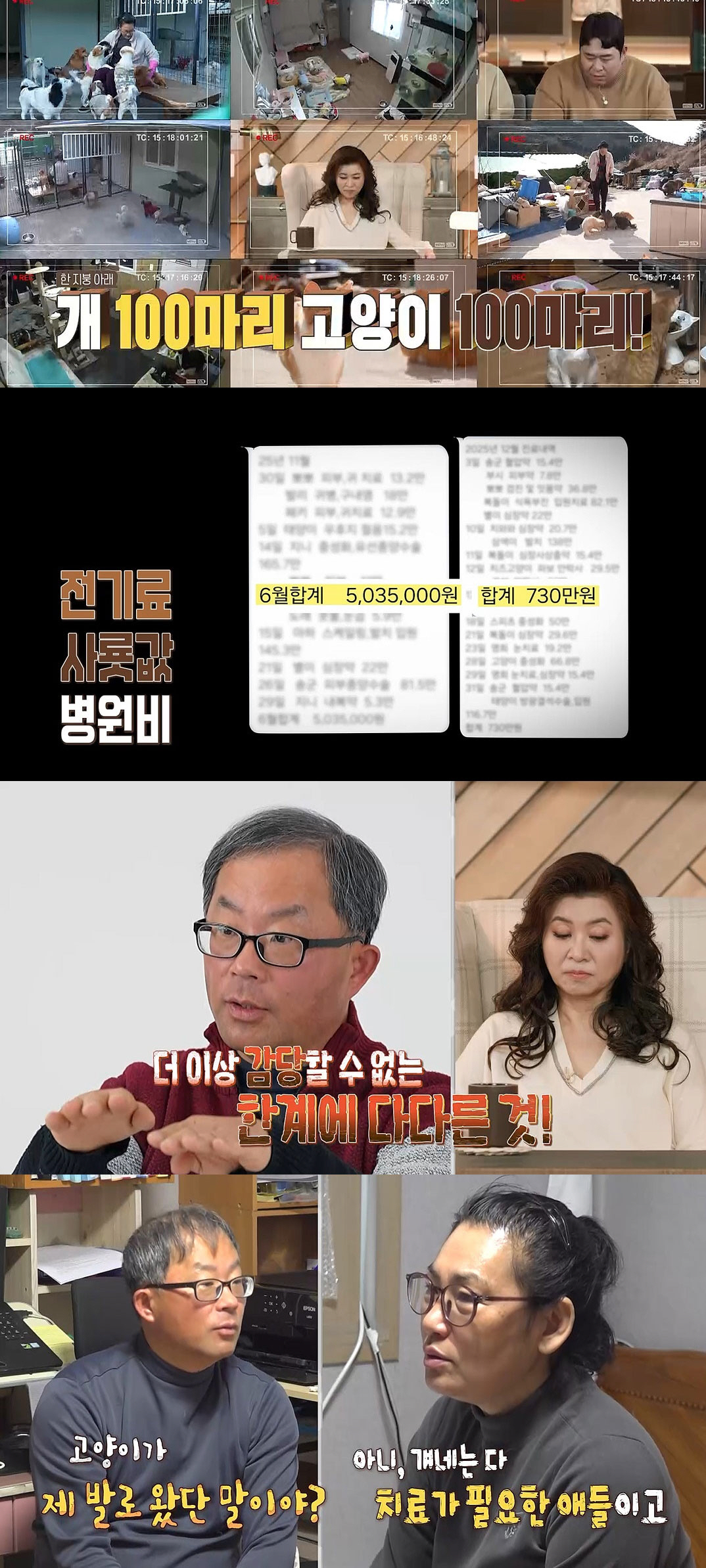 교수 출신 아내, 10억 날리고 친언니까지 파산…개·고양이 200마리에 '집착'
