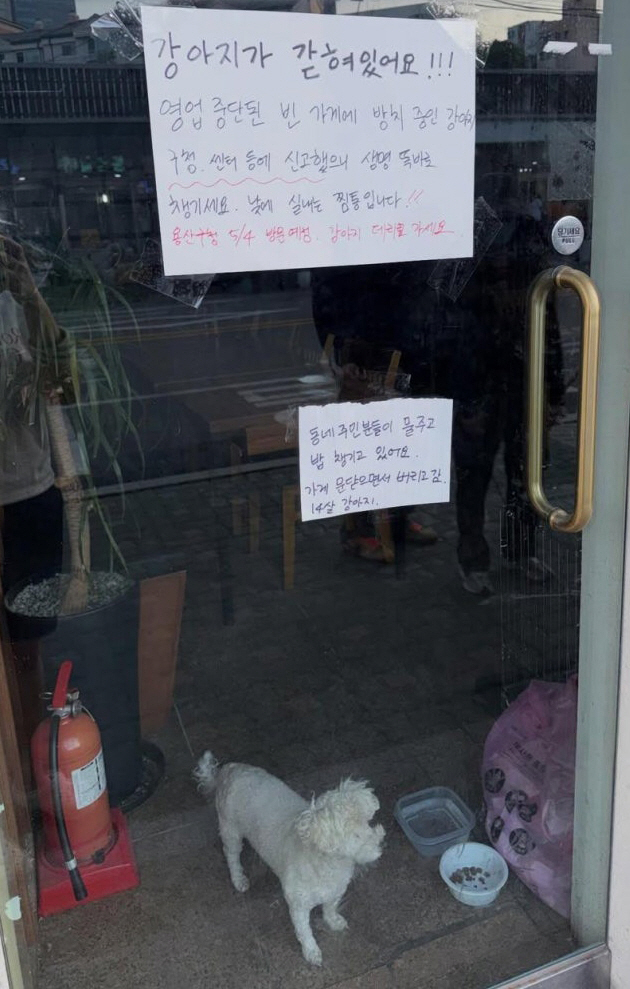 성시경 유튜브 나온 ‘맛집’, 폐업 후 가게에 반려견 유기 의혹..업주 “급한 사정 있었다”