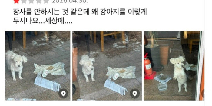 성시경 유튜브 나온 ‘맛집’, 폐업 후 가게에 반려견 유기 의혹..업주 “급한 사정 있었다”